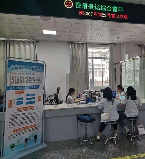 我为群众办实事丨云安政务大厅 一窗式 服务 企业开办一次完成