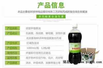 预防猝倒病用益生菌营养液防病害健康还有效