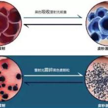 无极限营养健康咨询公司