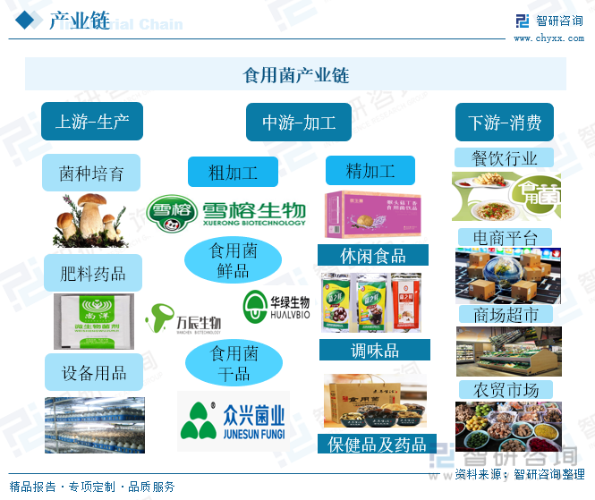 2022年中国食用菌行业全景速览:加快食用菌工厂化进程,进一步提高行业